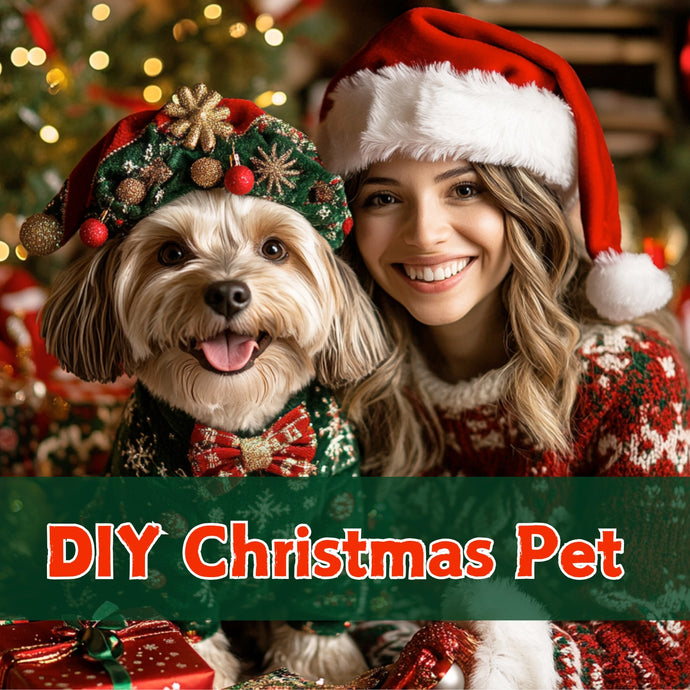 A Creative Christmas Workshop for You and Your Pet!