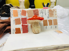 Fabric Reconstruction (7/8-8/5)
